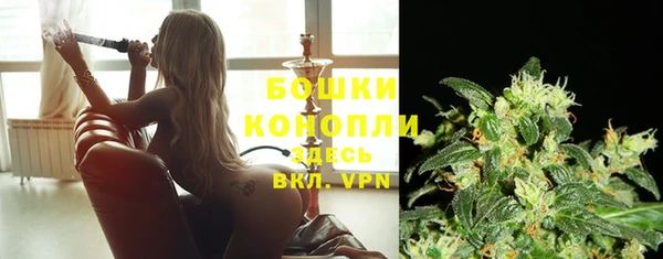 сатива Абдулино