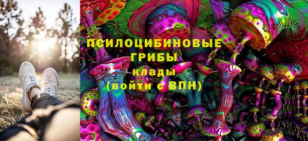 сатива Абдулино