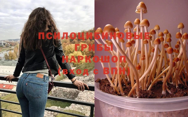 героин Абаза