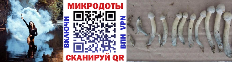Галлюциногенные грибы MAGIC MUSHROOMS  Таганрог 