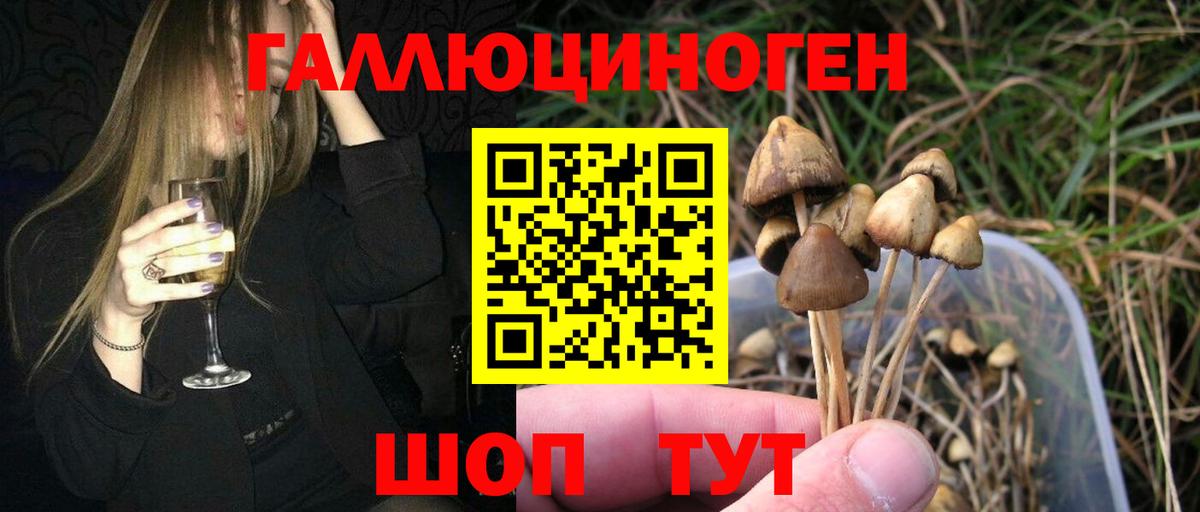 Таганрог  Галлюциногенные грибы Magic Shrooms  Вход с VPN  Галлюциногенные грибы мицелий 